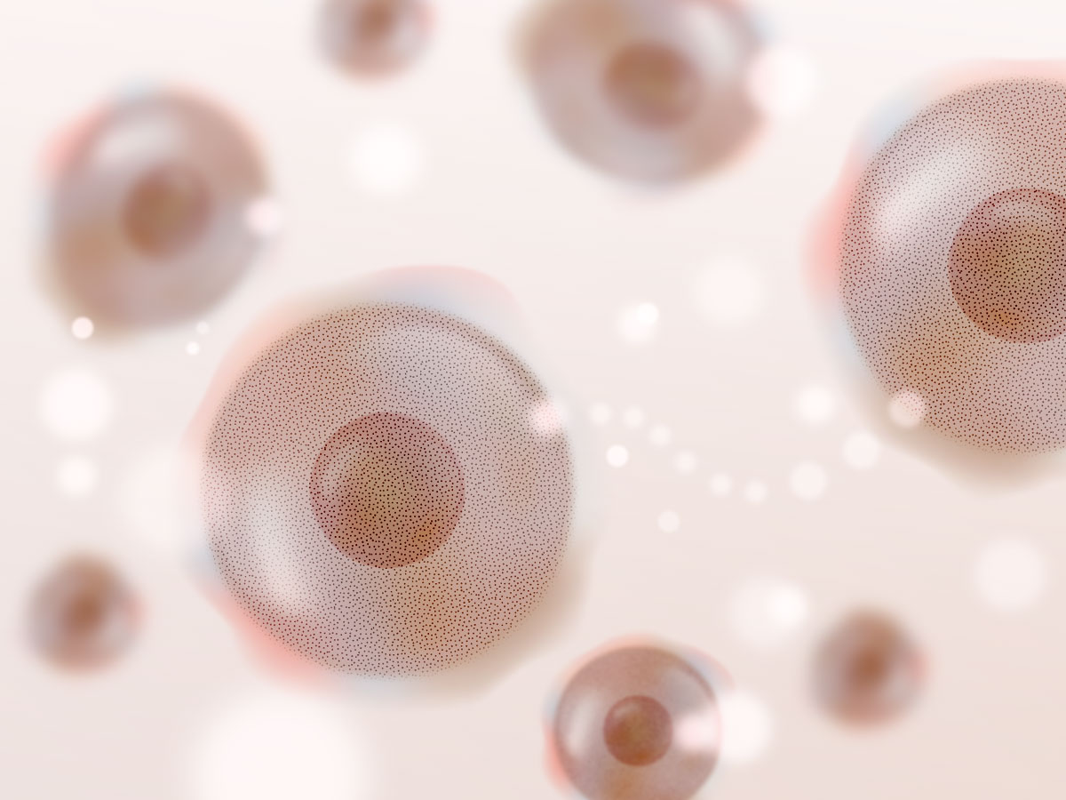 feat0<br />
<b>Warning</b>:  Undefined variable $i in <b>/home/xs171376/reunet.jp/public_html/trial6/wp/wp-content/themes/reutrial/parts/loop_features.php</b> on line <b>20</b><br />
<br />
<b>Warning</b>:  Undefined variable $count in <b>/home/xs171376/reunet.jp/public_html/trial6/wp/wp-content/themes/reutrial/parts/loop_features.php</b> on line <b>20</b><br />
2