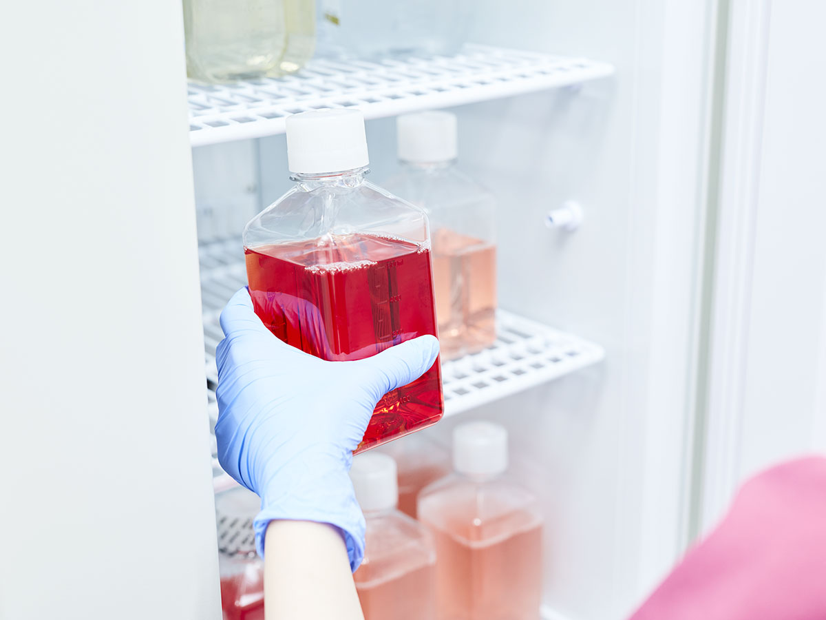 feat0<br />
<b>Warning</b>:  Undefined variable $i in <b>/home/xs171376/reunet.jp/public_html/trial6/wp/wp-content/themes/reutrial/parts/loop_features.php</b> on line <b>20</b><br />
<br />
<b>Warning</b>:  Undefined variable $count in <b>/home/xs171376/reunet.jp/public_html/trial6/wp/wp-content/themes/reutrial/parts/loop_features.php</b> on line <b>20</b><br />
2